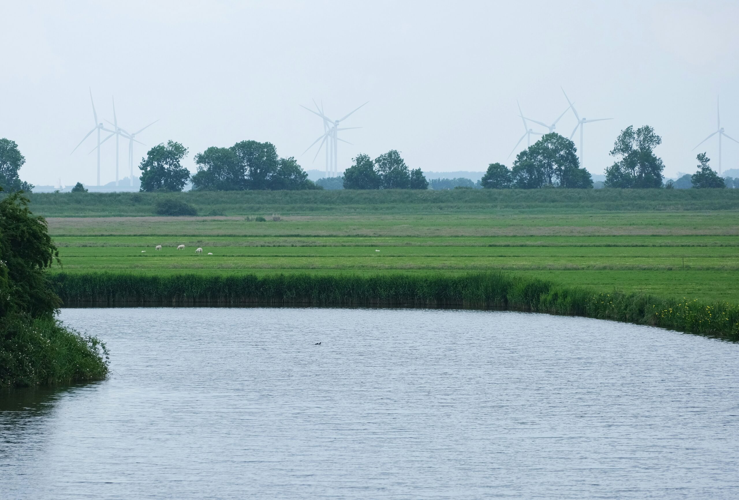 dmitrii-e-0-ayKuRJP-k-unsplash